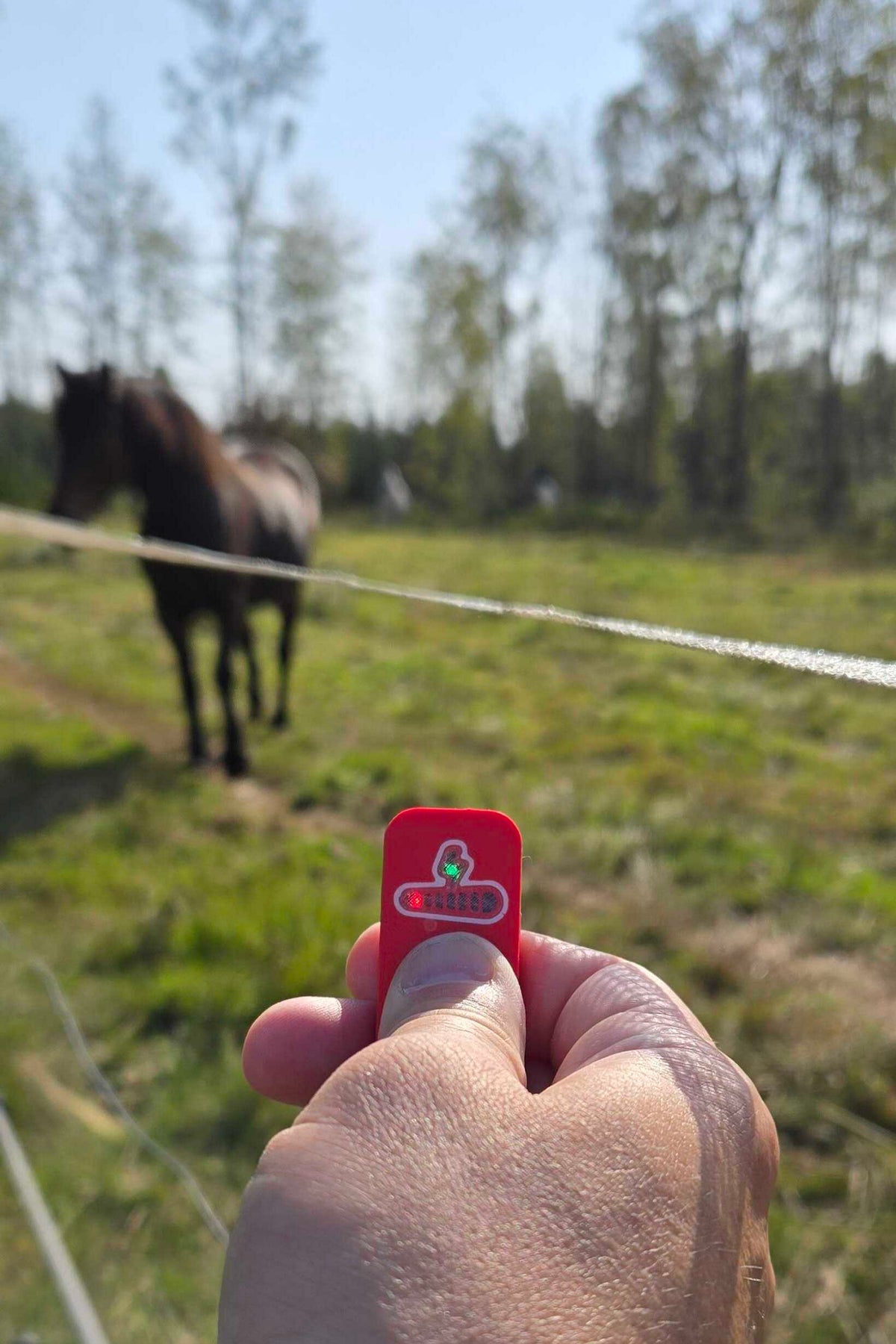 Se till att ditt stängsel fungerar innan dina djur flyr